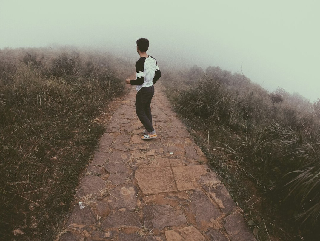 person on growth path