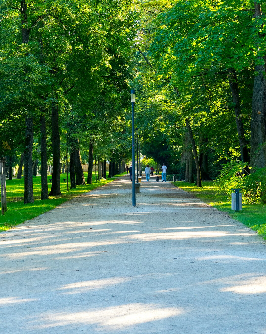 person walking in park